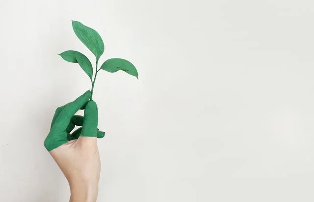 Comment développer votre personnalité ?
